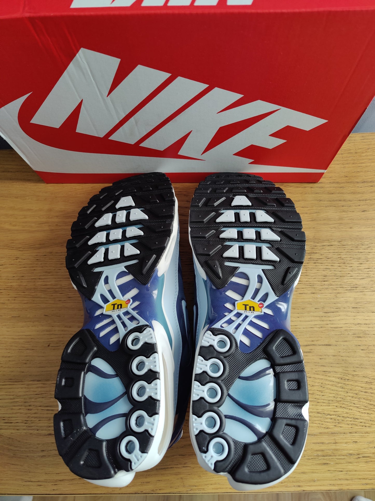 Nike Air Max Plus Celestine Blue